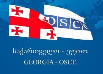 ეუთო-ს სხდომაზე ქართულმა მხარემ ვლადიმერ პუტინსა და ასლან ბჟანიას შორის სოჭში გამართული შეხვედრის გამო შეშფოთება გამოთქვა