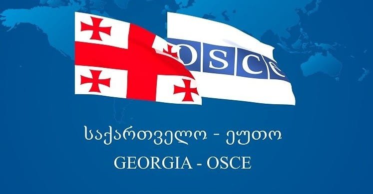 ეუთო-ს სხდომაზე ქართულმა მხარემ ვლადიმერ პუტინსა და ასლან ბჟანიას შორის სოჭში გამართული შეხვედრის გამო შეშფოთება გამოთქვა