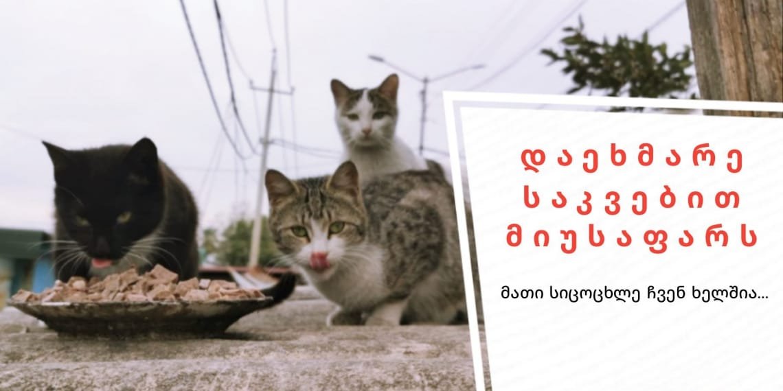 ” თუნდაც ერთი ნაჭერი პური უწილადეთ თქვენ გარშემო არსებულ მიუსაფრებს”