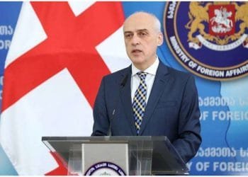 კოვიდ პანდემიის საკითხზე აშშ-სთან თანამშრომლობა ძალიან მნიშვნელოვანი იქნება, რათა საქართველო ერთ-ერთი პირველი ქვეყანა იყოს, რომელიც ვაქცინას მიიღებს – დავით ზალკალიანი