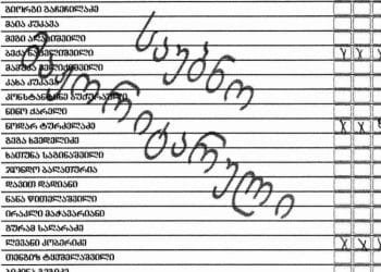 ელენე ხოშტარია #82-ე კოვიდ-უბნების ოქმების ფოტოებს აქვეყნებს