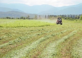 ჩასულებს შემზარავი სურათი დაგვხვდა, გაგვქურდეს – ფერმერი ბაღდათიდან