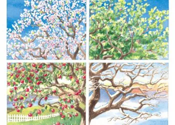 რამდენად კარგად იცით თვეების ძველ-ქართული დასახელება?