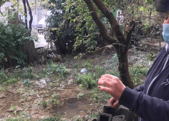 ჭაობში ვცხოვრობთ, დატბორილი ვართ – რა ხდება ავტოქარხნის დასახლებაში (+ვიდეო)