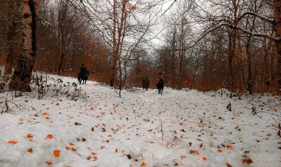 მისტიკური ხვამლის მისტიკური ფოტოები ლუკა ხეცურიანისგან