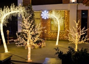 ქუთაისში საახალწლო განათებები გამოჩნდა (+ფოტო)