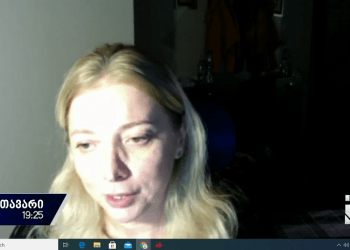 საქართველოს მაღლივი კაშხლის მშენებლობის ნორმა არ გააჩნია – არ არსებობს კანონმდებლობა – თეა გოდოლაძე