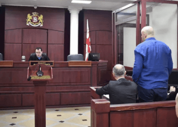 ნიკა მელიას საქმის სასამართლო განხილვა გადაიდო