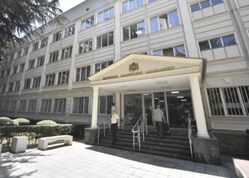 პირადი ცხოვრების საიდუმლოს ხელყოფისა და ადევნების ბრალდებით გიორგი გოგია დააკავეს