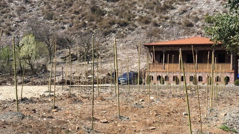 გიორგი გახარია სამეგრელოში ჩავიდა