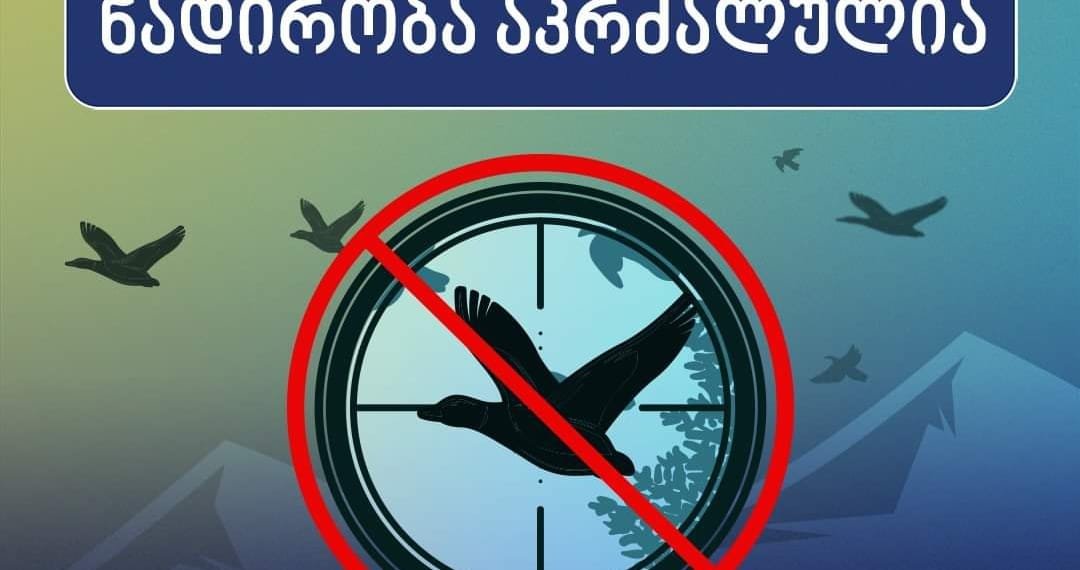 გადამფრენ ფრინველებზე ნადირობა აკრძალულია