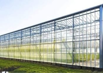 ”იმერეთის აგროზონის“ სასათბურე მეურნეობების განვითარებისთვის განაცხადების მიღება დაიწყო