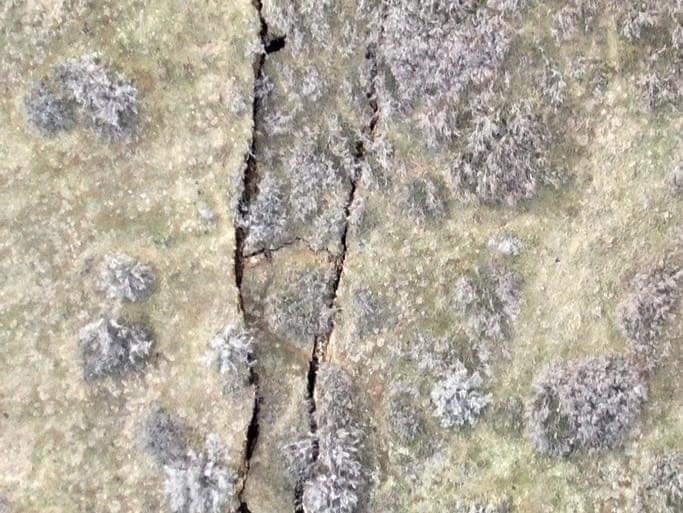 სავარაუდოდ 2 და 3 დღის ამბავი არაა ამისი ამოძრავება, უბრალოდ ახლა მიხვდნენ რომ შეიძლება ცუდად დამთავრდეს – რა ხდება ვაშლიჯვრის და ნუცუბიძის დამაკავშირებელ გზაზე (+ფოტო)