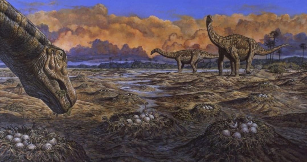 სენსაციური აღმოჩენა – ნაპოვნია 70 მილიონი წლის წინანდელი დინოზავრების განმარხებული საბუდარი