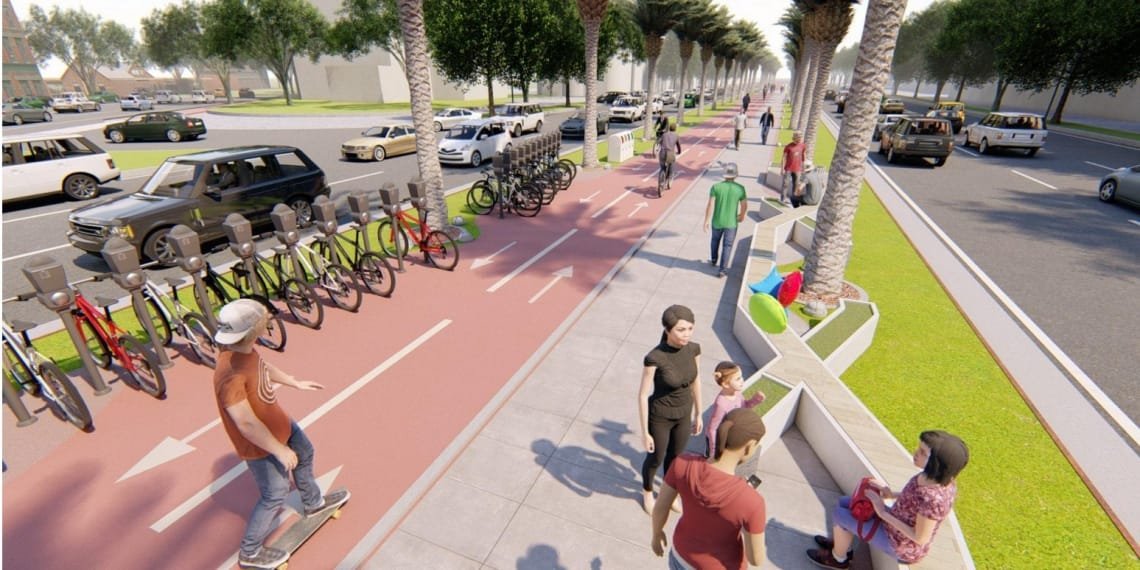 ქუთაისის მერია აღმაშენებელზე  პალმების ხეივნის რეაბილიტაციას გეგმავს