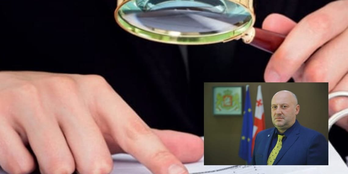 რა დამალა იმერეთში სახელმწიფო რწმუნებულის მოადგილემ დეკლარაციებში – TI-ის კვლევა