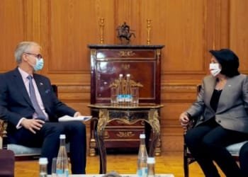 კრისტიან დანიელსონი საქართველოს პრეზიდენტს კიდევ ერთხელ ხვდება