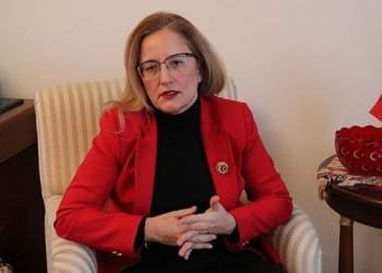 მინდა ვკითხო ადამაინებს, რატომ შემოგაქვთ რელიგიური სიმბოლო? – თურქეთის ელჩი “ნამახვანჰესზე”