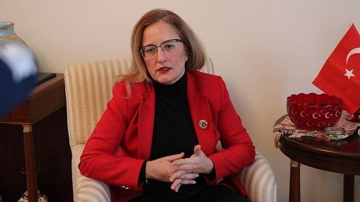 მინდა ვკითხო ადამაინებს, რატომ შემოგაქვთ რელიგიური სიმბოლო? – თურქეთის ელჩი “ნამახვანჰესზე”