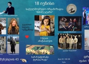 პატარა ანიტას გადასარჩენად საქველმოქმედო კონცერტი გაიმართება