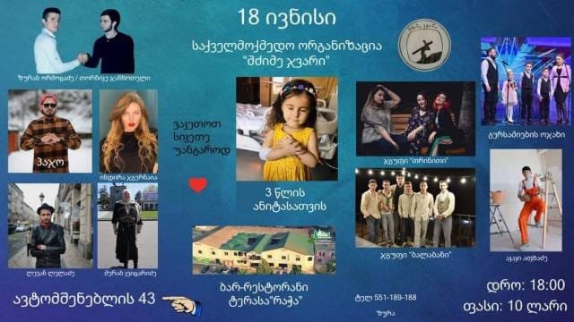 პატარა ანიტას გადასარჩენად საქველმოქმედო კონცერტი გაიმართება