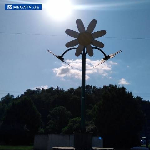 რატომ რჩება „მზის გვირილა“  უფუნქციოდ ?