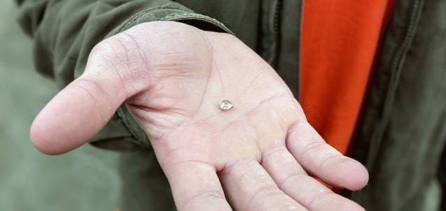 მამაკაცმა 2.2-კარატიანი ყვითელი ალმასი იპოვა