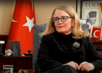 არგუმენტები მუდმივად ცვალებადია – რას ამბობს “ნამახვანჰესზე” თურქეთის ელჩი