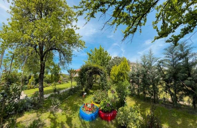 ვინ არის ხონელი გოგო, რომლის ეზომაც “საუკეთესო ეზოს” ტიტული მოიპოვა (+ფოტო)