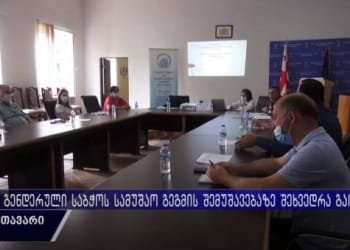 ხონში გენდერული თანასწორობის საბჭოს სამოქმედო გეგმაზე იმსჯელეს