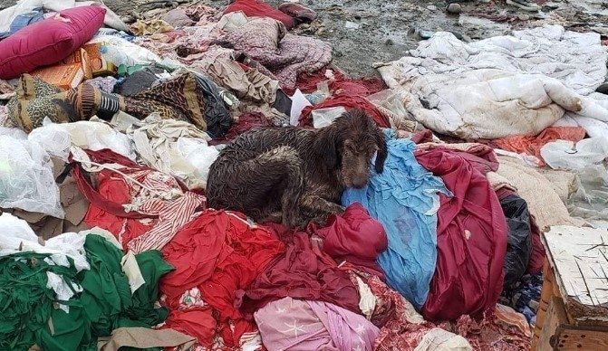 აქ არსებული ნაგავი დიდ ქიმიურ საფრთხედ მიიჩნევა – რა ხდება ბათუმში