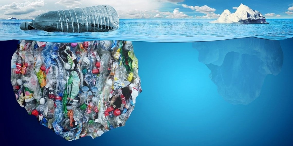 აღმოჩენილია მუხლუხო, რომელიც პლასტმას ჭამს – როგორ შეიძლება გადავარჩინოთ ოკეანე