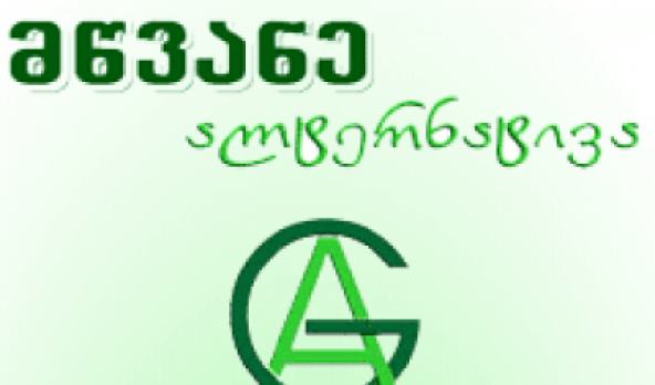 მწვანე ალტერნატივა  „რიონის ხეობის გადარჩენისთვის“ მოძრაობასთან კომუნიკაციას წყვეტს
