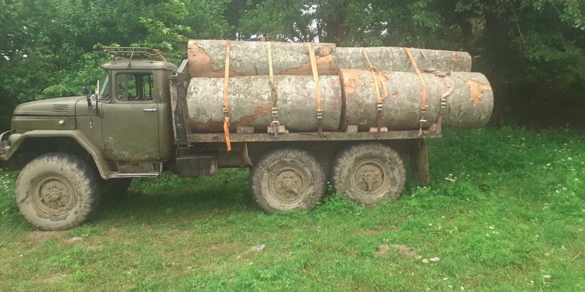 სად დაფიქსირდა იმერეთში უკანონო ტყითსარგებლობის ფაქტები