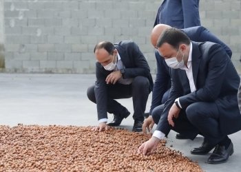 მთავრობა სოფლის მეურნეობის დარგისა და  ახალი საწარმოების მხარდაჭერას მომავალშიც განაგრძობს- ირაკლი ღარიბაშვილი 