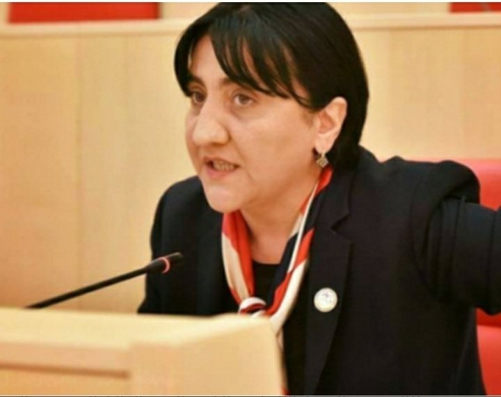 „პატრიოტთა ალიანსის“ ღია წერილი რუსეთს, რომელის სამართლებრივი შეფასება ჯერ არ გაკეთებულა