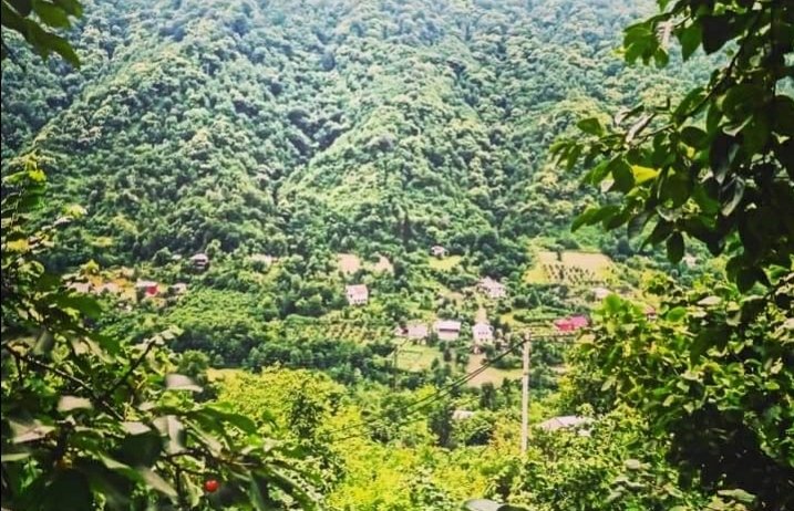 გურიაში სოფლის ,,მარშუტკებში” გაგონილი ტკვარცალა ფრაზების ათეული