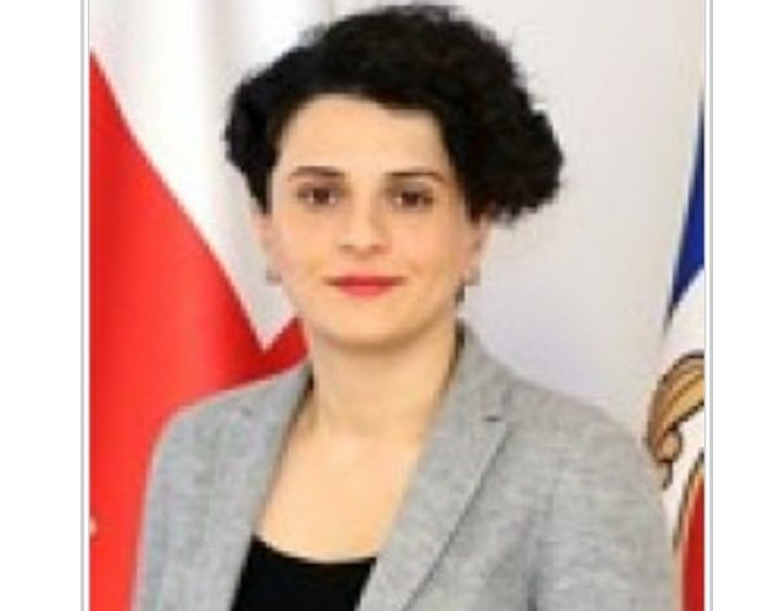 ,,ჩვენ გადავწყვიტეთ პარლამენტის შენობა ვაქციოთ მართლმსაჯულების ჰაბად”-ნათია მეზვრიშვილი