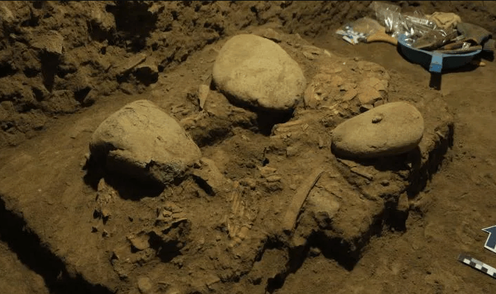 ადამიანების აქამდე უცნობ ჯგუფი – რა აღმოაჩინეს მეცნიერებმა მოზარდი გოგონას დნმ-ში