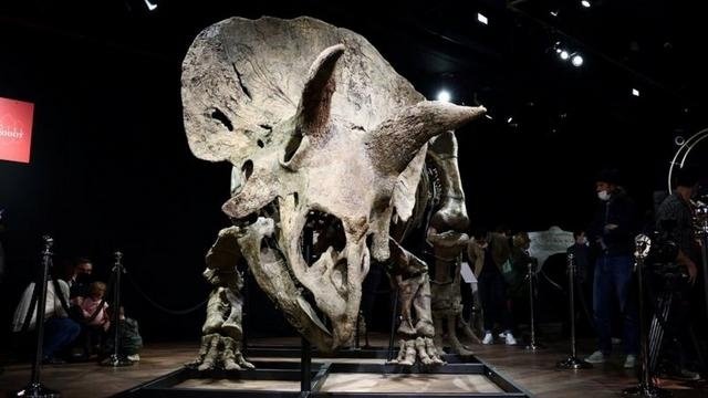 იყიდება გიგანტური დინოზავრი