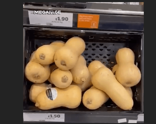 “პასუხი ოლიგარქის ტვ იმედის იმ სამარცხვინო სიუჟეტზე”- რას წერს სოც. ქსელში ცოტნე ჯაფარიძე