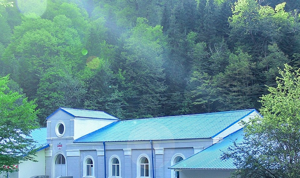 ” სამწუხაროდ ვერ გავცდით ხარბ დამსაქმებლებს”-რა პრობლემებზე საუბრობენ საირმეში დასაქმებულები