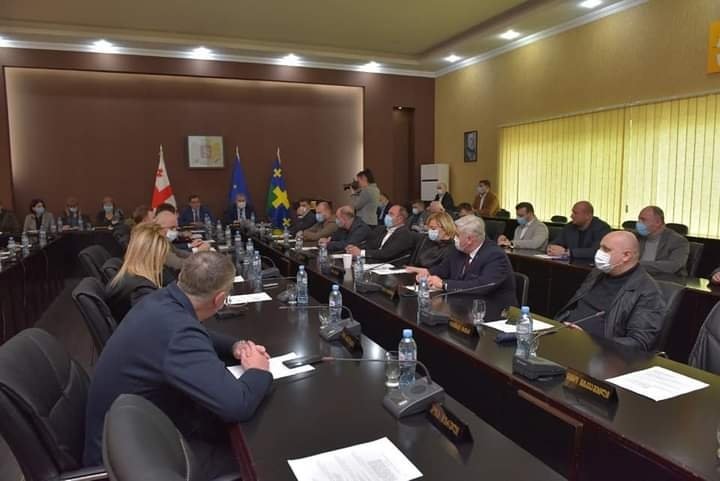 მერიამ ქუთაისის მუნიციპალიტეტის საკრებულოს რიგგარეშე მე-2 სხდომის შესახებ განცხადება გააკეთა