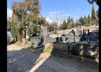 ურეკავს ყვავილების გამყიდველს და ამოყავს სასაფლაოზე | რას  ყვება მოქალაქე