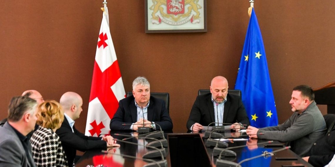 იმერეთში სახელმწიფო რწმუნებულმა  პირველი მოადგილე წარადგინა