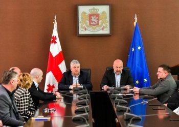 იმერეთში სახელმწიფო რწმუნებულმა  პირველი მოადგილე წარადგინა