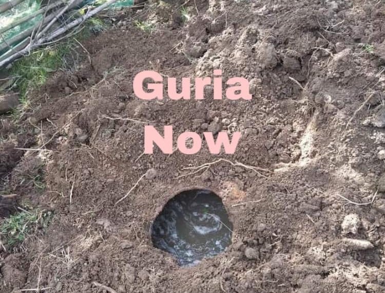 ვბარავდი და შემთხვევით ვნახე-რა აღმოაჩინეს ნატანებში