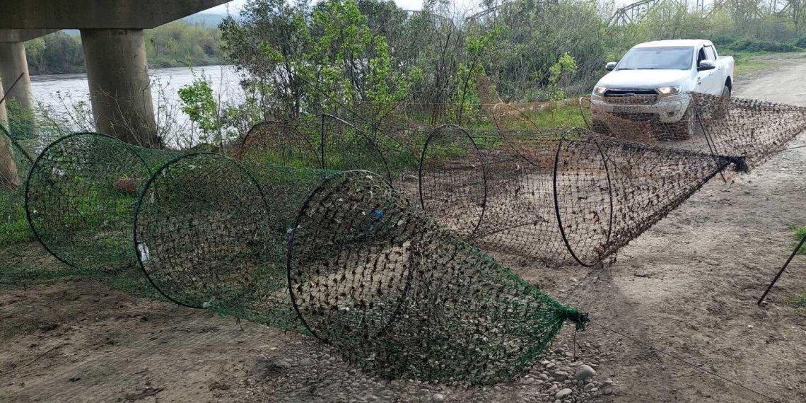 მდინარე რიონის კალაპოტის დათვალიერებისას უმეთვალყურეოდ მიტოვებული ბადეები და ანკესები იპოვეს