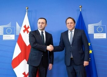 ოლივერ ვარჰეი-შევსებული კითხვარის მიღებიდან მალევე, ევროკომისიამ ევროკავშირში წარდგენილ საქართველოს განაცხადთან დაკავშირებით დასკვნის მომზადება დაიწყო