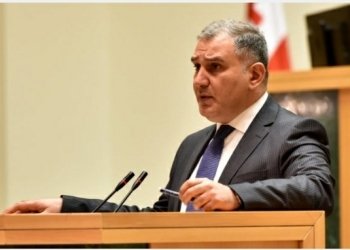 სარჯველაძე ბიძინა ივანიშვილის დასაცავ შესაძლო აქციას შეუერთდება